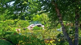 Från Paris: Utflykt till Monets trädgårdar i Giverny