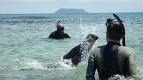 Galapagos: giro delle isole 7 giorni - 6 notti