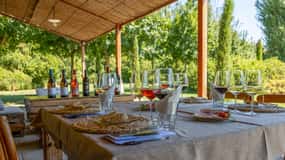 Castiglion Fiorentino: Tour, degustazione e tagliere di salumi