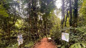 Quepos: Nauyaca vattenfall & Salto del Diamante