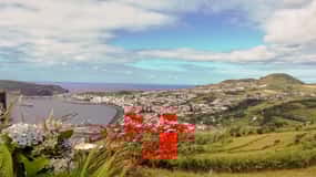Horta, Insel Faial: Halbtagestour