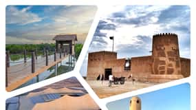 Nord-Katar: Purple Island, Al Zubarah Fort & Mangroven Tour