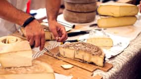 San Gimignano: degustazione di vini e formaggi toscani