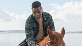 Séance photo avec des chevaux sur la plage ou à la campagne