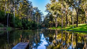 Pemberton: Secret Picnic Adventure with Digital Clues