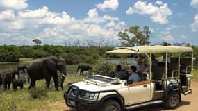 Chobe day trip from Victoria Falls