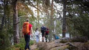 Parque Nacional de Tiveden: Caminhada guiada de verão à volta de Stenkälla