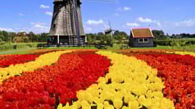 Amsterdam: Private Keukenhof and Free Tulip Tour