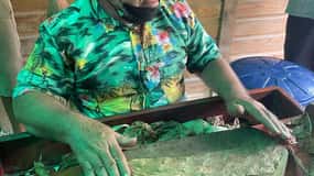 Viagem de 1 dia com tudo incluído a partir de Punta Cana: Imersão na cultura da RD