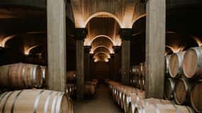 Logroño: Guided visit with tasting of 3 wines and aperitif at Viña Ijalba.