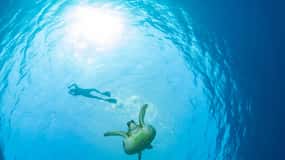 Ko Samui: Unik dagsudflugt med snorkling på Ko Tao og Ko Nang Yuan