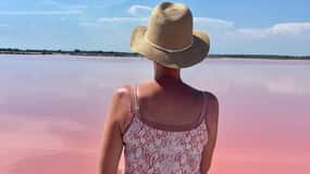 From Montpellier: Camargue and Salt Marshes Guided Tour