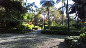 Funchal: lugares famosos e recantos mágicos.