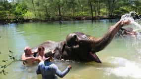 Phuket: Bamboo & Water Rafting with Elephant Bathing