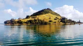 Havenrondvaart Tauranga