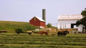 Lancaster: Amish Farmlands Guided Tour
