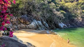 Jungle et plages exotiques : Randonnée à Puerto Vallarta