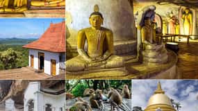 Excursão particular de um dia a Dambulla: a partir de Sigiriya