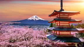 Tokyo: Mount Fuji Private Customizable Day Trip with Driver