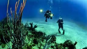 From Cancun: Fast Boat Cozumel Diving Experience