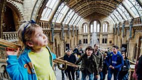 Musée naturel : Papillons, pierres précieuses et dinosaures explorés