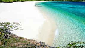 Från Ceiba: Dagsutflykt till Vieques med färja