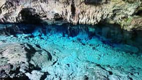 Bosque de Jozani, Pongwe, Buceo con Tortugas, Kayak Claro