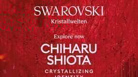 Wattens: Swarovski Kristallwelten Eintrittskarte