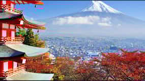 Mt.FUji and Cherry Blossom Full Day Trip with English Driver