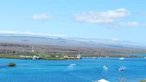Isole Galapagos - Santa Cruz - 4 giorni all inclusive