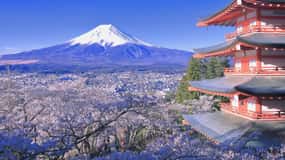 The BEST Shibuya City Nature & adventure 2026 - FREE Cancellation