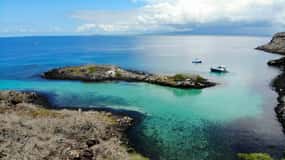 Da Puerto Ayora: Pinzón e La Fé - Tour completo di snorkeling