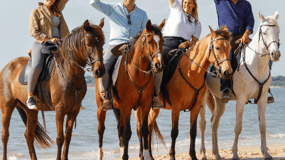 Randonnée à cheval sur la plage en GROUPE + Reportage photo - PDT