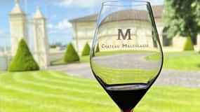Von Bordeaux aus: Medoc Winery Morning Tour mit Weinverkostung