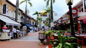 Singapore: Private Full-Day Island Tour