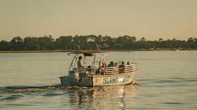 Hilton Head Island: Dolphin Cruise & Nature Tour