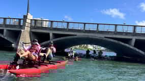 San Juan: Chiliboats guidet eventyrtur i Condado-lagunen