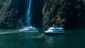 Milford Sound: Natuurcruise op een moderne catamaran