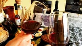 Expérience gastronomique de la Rome antique - dégustation de vins