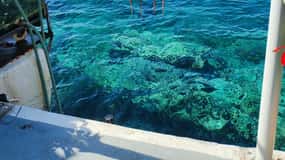 Santorini: Full day private tour with a local guide