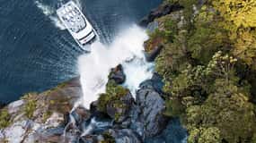 Milford Sound: Nature Cruise - Grand Views & Optional Lunch