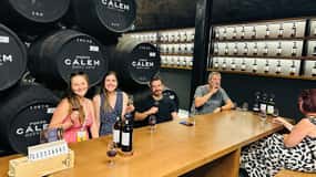 Experiência do Porto a Gaia: Passeio pela Cidade e Caves de Vinho