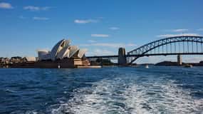 Sydney: Cruzeiro turístico no porto pela manhã ou à tarde