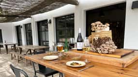 GUIDED TOUR + TASTE IN A MUSHROOM FARM
