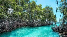 Playa del Carmen: Explore Great Sian Kaan Island
