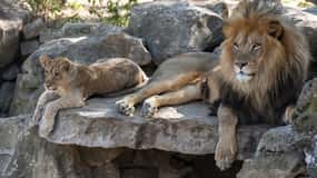 Gdańsk: Zoo Oliwa z biletami i transportem w obie strony