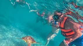 Cancún: ruïnes van Tulum, schildpadden van Akumal, cenote en grotten snorkelen