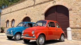 Marche: Tour in vintage Fiat 500 around Verdicchio hills
