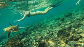 From Abu Dhabi: Snorkeling with Turtles in Fujairah with BBQ