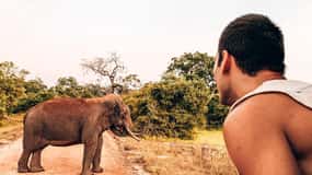 ARUGAM-BAY to HIRIKETIYA/MIRISSA Transfer with YALA Safari